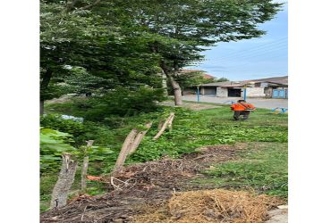 هرس و علف زنى مسيرهاى منتهی به عاشورای حسینی