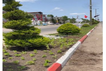 فضا سازى حد فاصل ميدان حلوا تا ميدان مادر جهت توسعه فضاى سبز