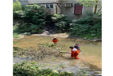 نظافت بستر رودخانه مرغك