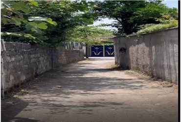 کوتاه نمودن علف های هرز کوچه