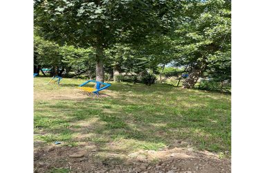 بازدید میدانی رئیس شورا از پروژه آغاز عمليات عمرانى نصب تيرك هاى چراغ درختى