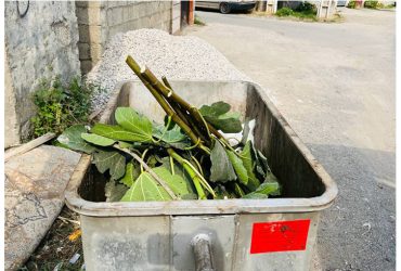 اطلاعیه شهرداری ضیابر