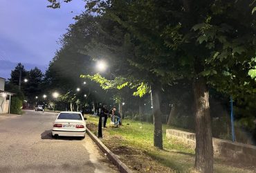 نصب اجرای تیرک های درختی