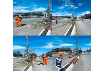 کوتاه‌سازی و پاکسازی علف‌های هرز