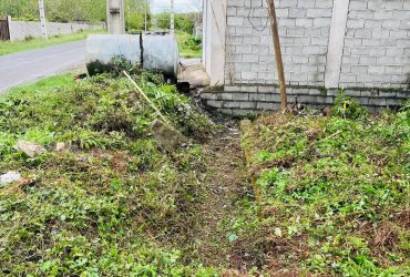 عملیات هرس و پاکسازی نهر انتهای کوی فرهنگیان