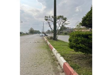 کوتاه نمودن علف های هرز خیابان امام خمینی