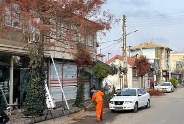 هرس درختان معابر اصلی و فرعی