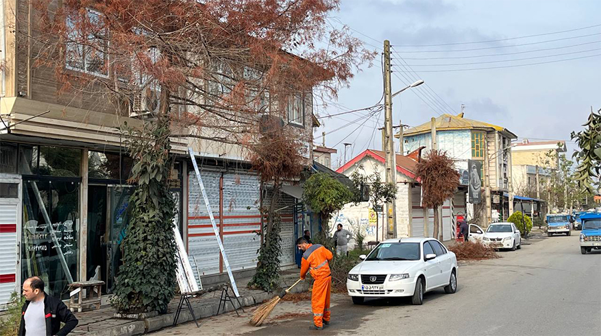 هرس درختان معابر اصلی و فرعی