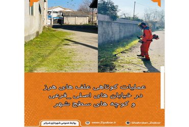 عملیات کوتاهی علف‌های هرز در خیابان‌های اصلی، فرعی و کوچه‌های سطح شهر